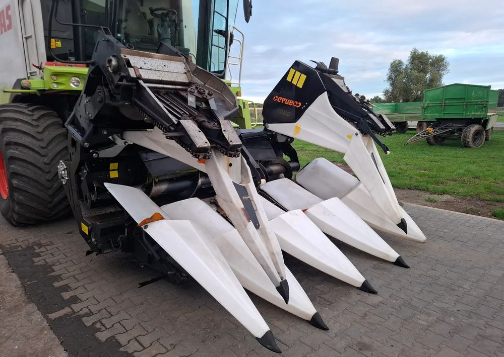 Oros Cornado 6 rzędowy , 2014 rok, Nie Malowany, Stan Bardzo Dobry - Maize harvester: picture 3 Oros Cornado 6 rzędowy , 2014 rok, Nie Malowany, Stan Bardzo Dobry - Maize harvester: picture 3