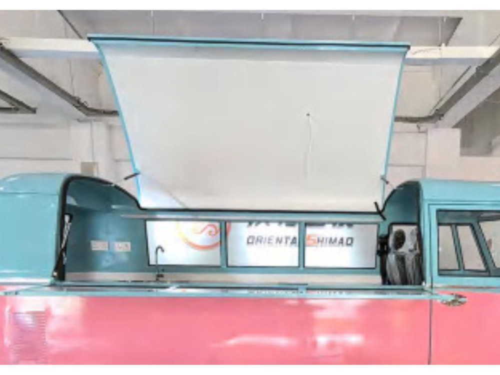 Deli Star Trailer Retro Minivan FR 4300 Electric leasing Deli Star Trailer Retro Minivan FR 4300 Electric: picture 9