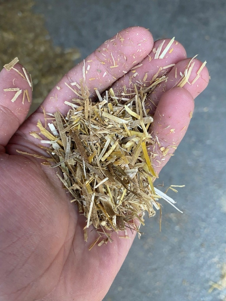 Bizon B-1130 Professional Straw and Biomass Shredder/Gri - Straw shredder: picture 4 Bizon B-1130 Professional Straw and Biomass Shredder/Gri - Straw shredder: picture 4