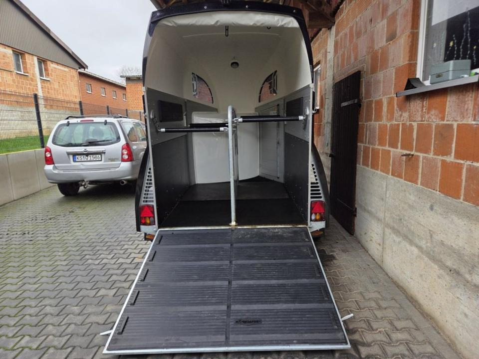 Böckmann Pferdeanhänger Champion R SaKa. WCF-Fahrwerk 100 km/h - Horse trailer: picture 4 Böckmann Pferdeanhänger Champion R SaKa. WCF-Fahrwerk 100 km/h - Horse trailer: picture 4