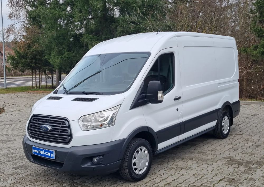 Small van Ford Transit: picture 1