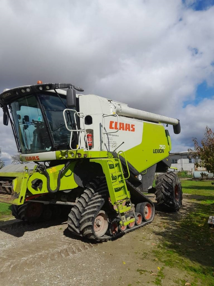 Claas LEXION 750 RISO  - Combine harvester: picture 2 Claas LEXION 750 RISO  - Combine harvester: picture 2