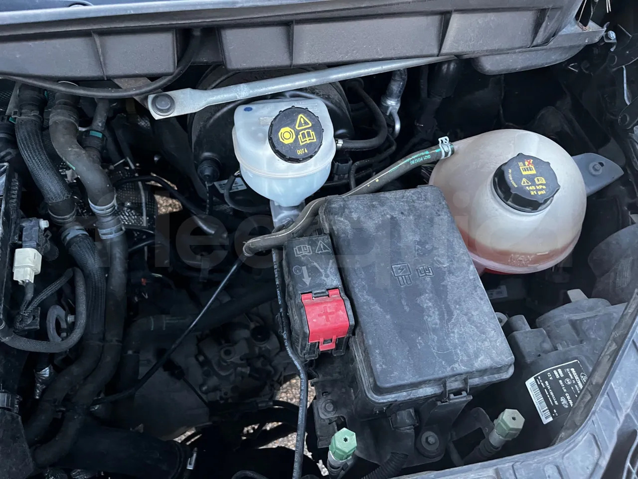 Minibus, Passenger van Ford Transit: picture 24