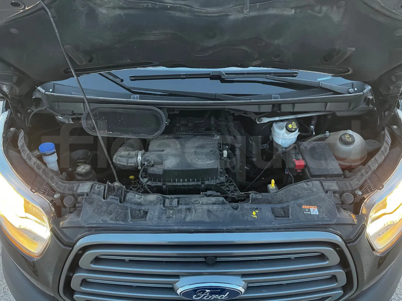 Minibus, Passenger van Ford Transit: picture 21