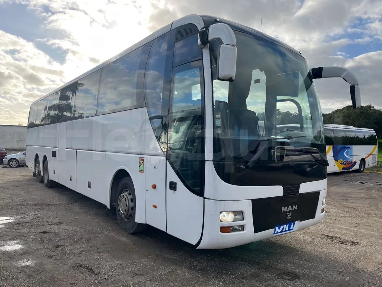 Man LIONS COACH L - Coach: picture 1 Man LIONS COACH L - Coach: picture 1