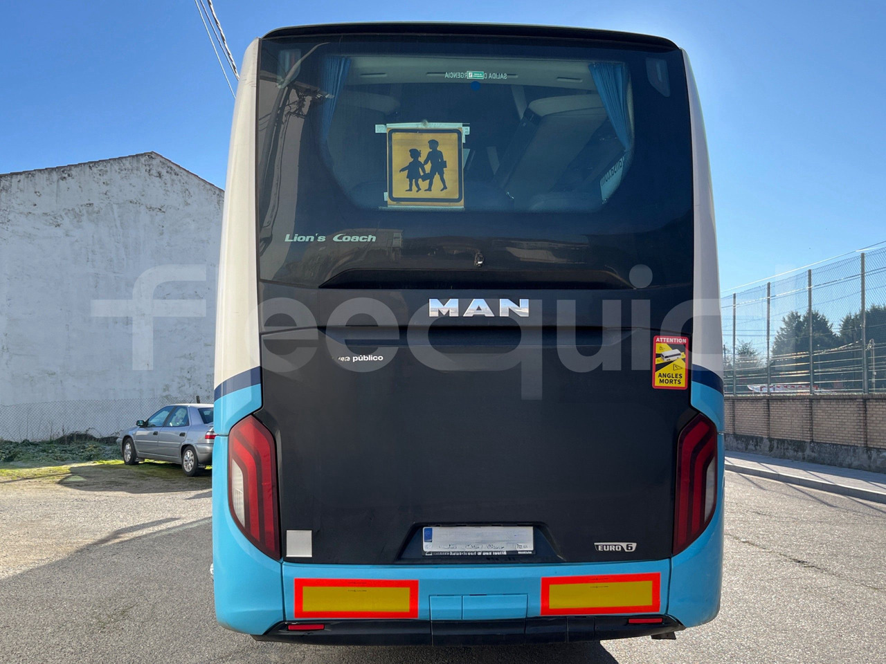 Man Lion's Coach - Coach: picture 5 Man Lion's Coach - Coach: picture 5