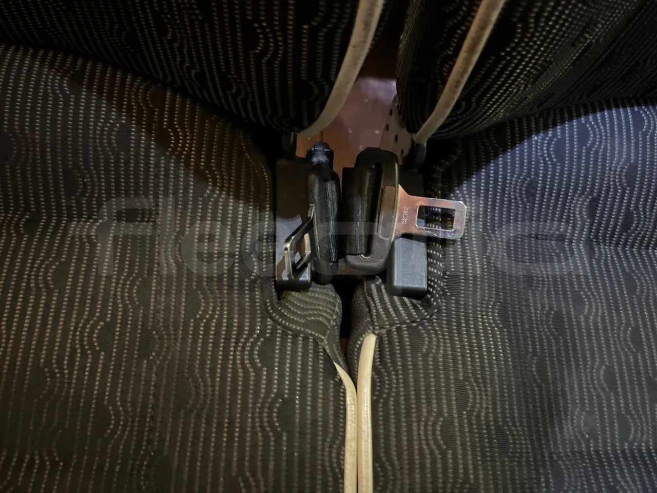 Man Lion's Coach leasing Man Lion's Coach: picture 45