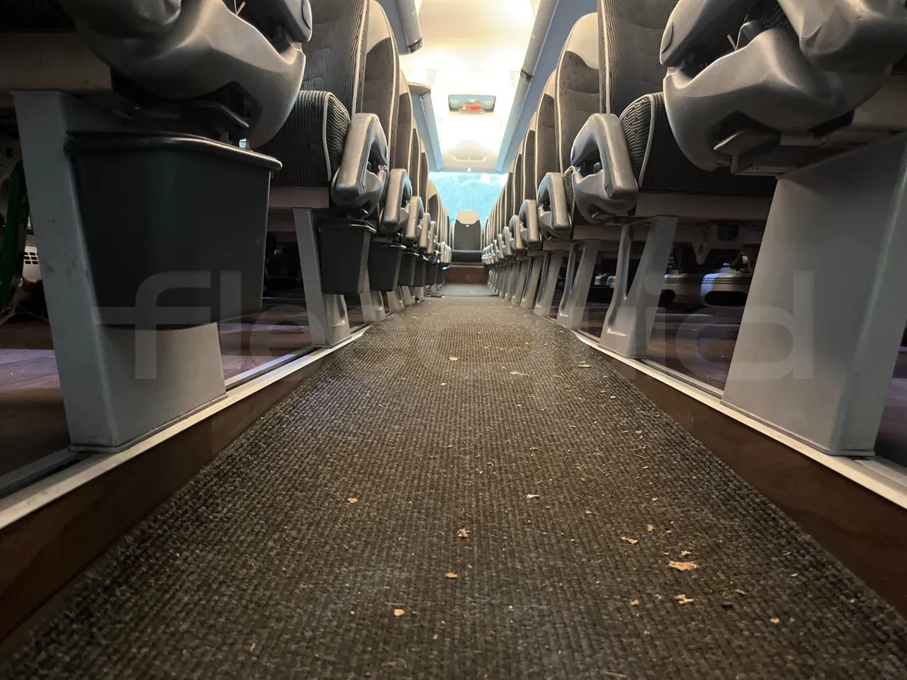 Man Lion's Coach leasing Man Lion's Coach: picture 44