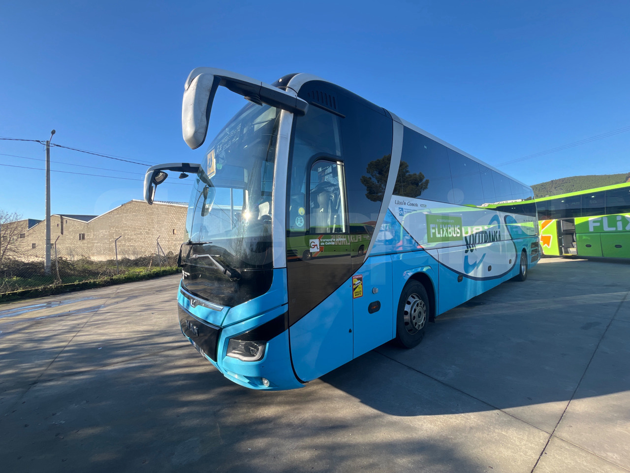 Man Lion's Coach - Coach: picture 4 Man Lion's Coach - Coach: picture 4