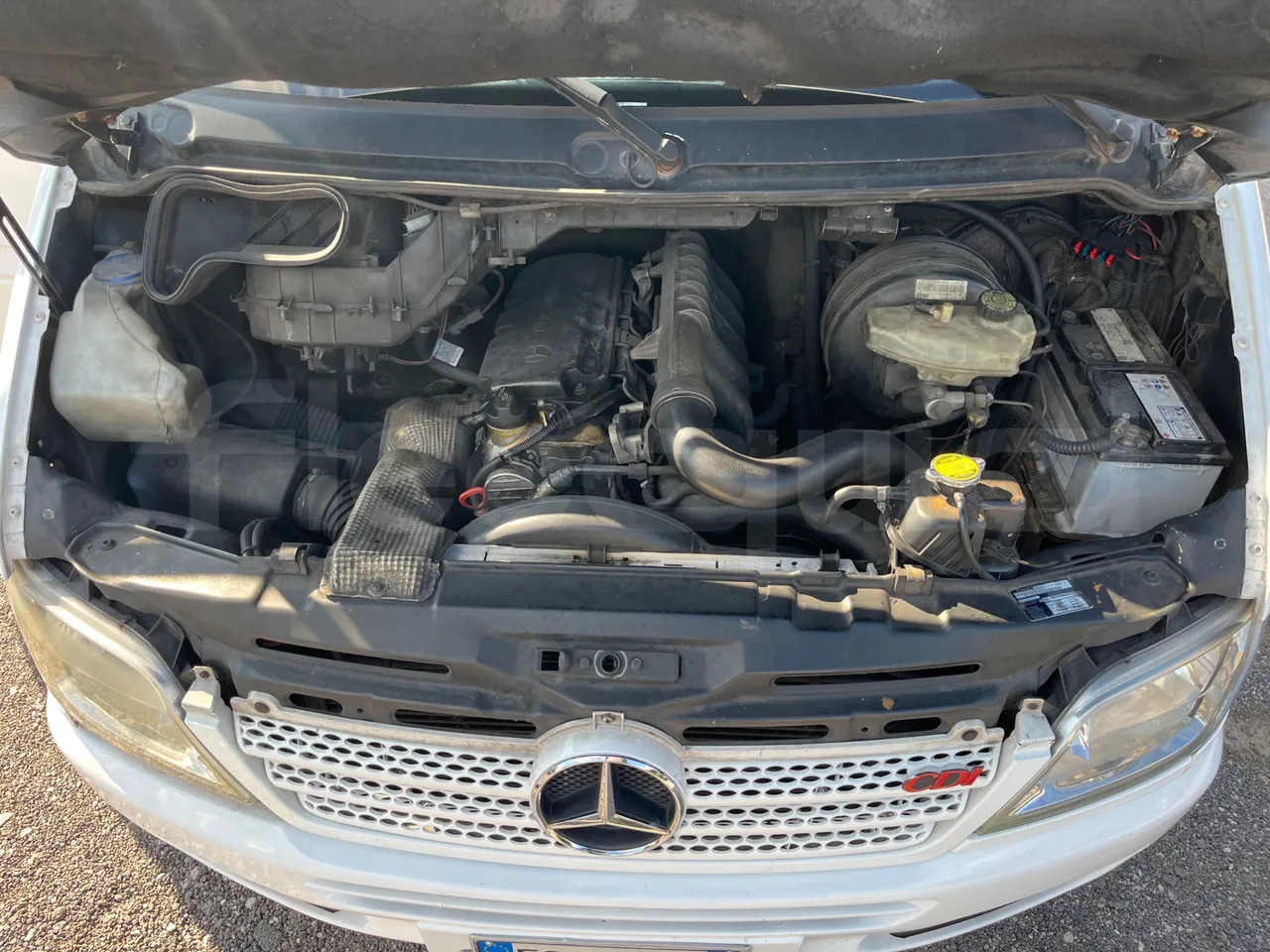 Minibus, Passenger van Mercedes-Benz Sprinter: picture 20 Minibus, Passenger van Mercedes-Benz Sprinter: picture 20