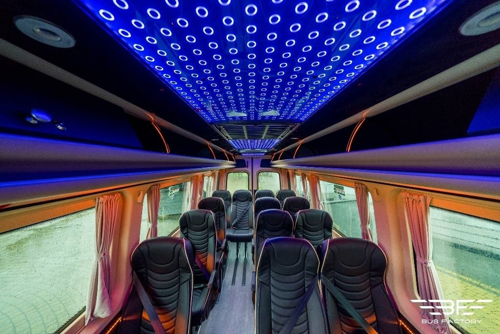 Minibus, Passenger van Mercedes-Benz Sprinter 519, Special 16+1 and 2 wheelchairs !!: picture 15