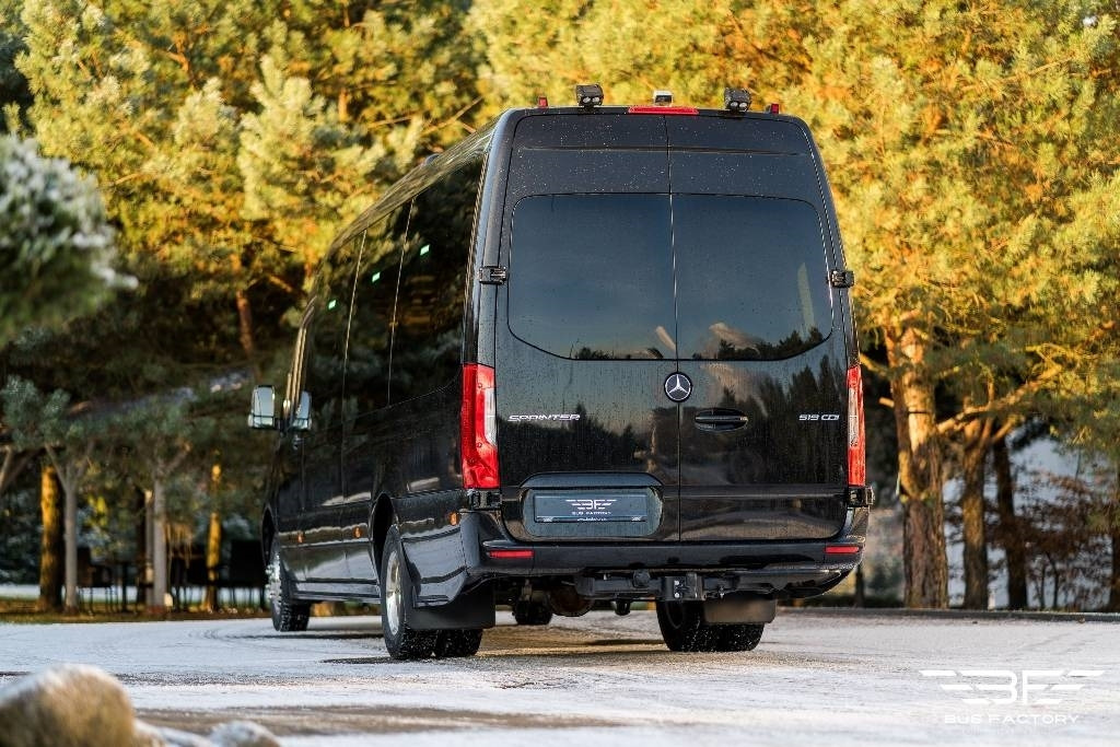 Mercedes-Benz Sprinter 519, Special 16+1 and 2 wheelchairs !! - Minibus, Passenger van: picture 5 Mercedes-Benz Sprinter 519, Special 16+1 and 2 wheelchairs !! - Minibus, Passenger van: picture 5