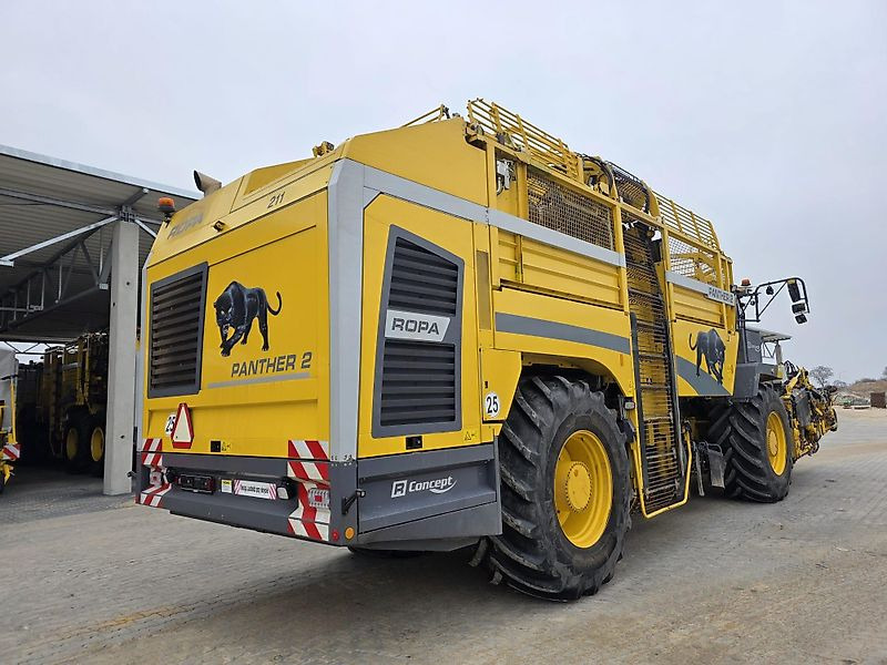 ROPA Ropa Panther 2 - Beet harvester: picture 3 ROPA Ropa Panther 2 - Beet harvester: picture 3