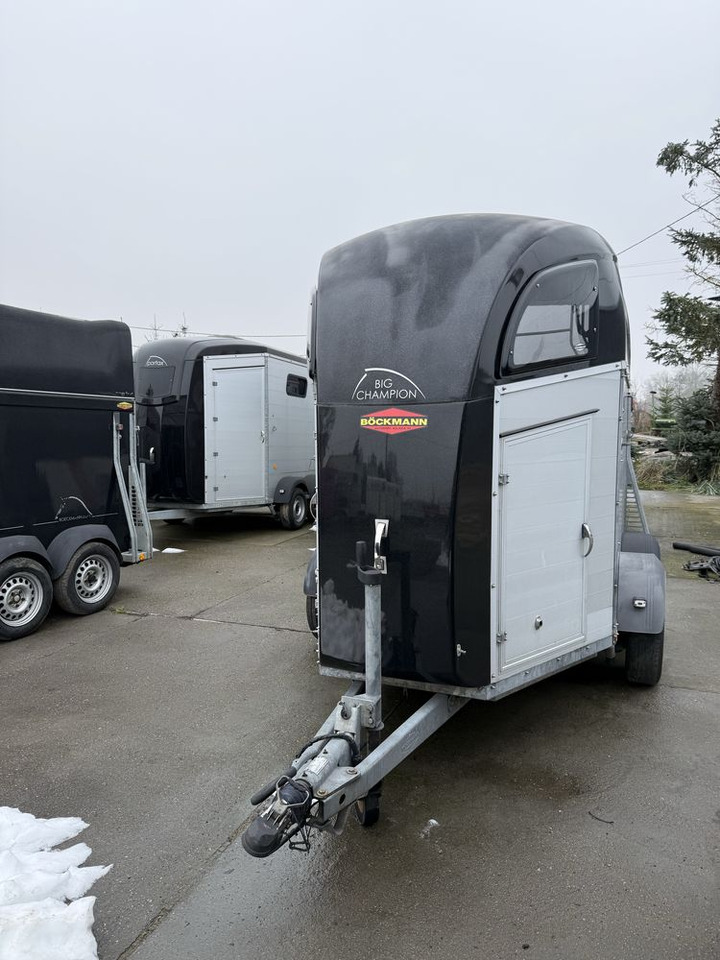 Car trailer BOECKMANN BIG CHAMPION do koni wcf alupodloga: picture 7