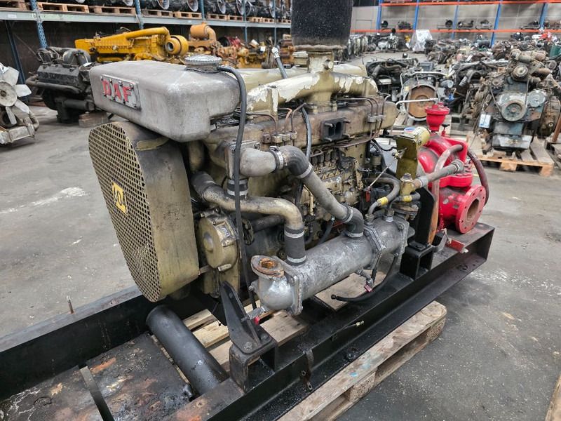 DAF DF 615 A - Water pump: picture 1 DAF DF 615 A - Water pump: picture 1