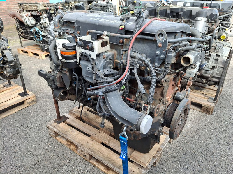 Iveco F3AE3681D ( CURSOR10 ) - Engine: picture 1 Iveco F3AE3681D ( CURSOR10 ) - Engine: picture 1