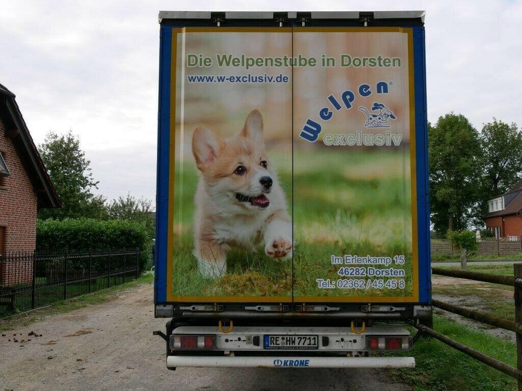 Krone SDP27 Profiliner Edscher XL Top Krone SDP27 Profiliner Edscher XL Top - Curtainsider semi-trailer: picture 3 Krone SDP27 Profiliner Edscher XL Top Krone SDP27 Profiliner Edscher XL Top - Curtainsider semi-trailer: picture 3