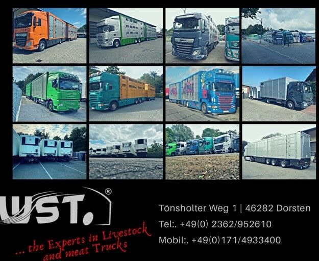 New Refrigerator semi-trailer Krone " Sofort " Carrier Vector 1550  *NEU* SAF: picture 26