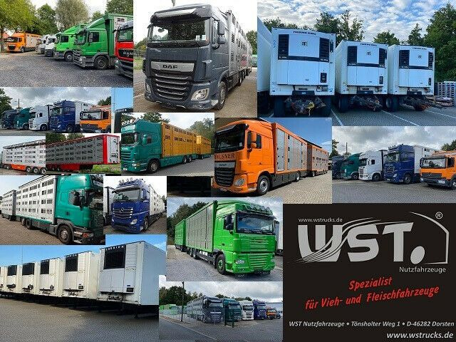 New Refrigerator semi-trailer Krone " Sofort " Carrier Vector 1550  *NEU* SAF: picture 24