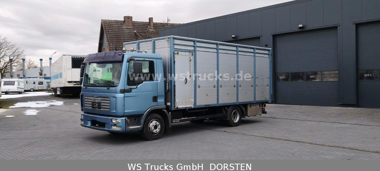 MAN TGL 10.210 1 Stock Viehtransporter - Livestock truck: picture 2 MAN TGL 10.210 1 Stock Viehtransporter - Livestock truck: picture 2