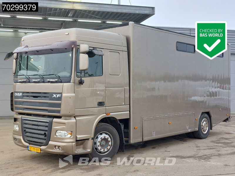 DAF XF105.410 XF 4X2 NL-Truck JK Horsetruck 6 Horses Pferdentransport Manual Euro 5 - Horse truck: picture 1 DAF XF105.410 XF 4X2 NL-Truck JK Horsetruck 6 Horses Pferdentransport Manual Euro 5 - Horse truck: picture 1