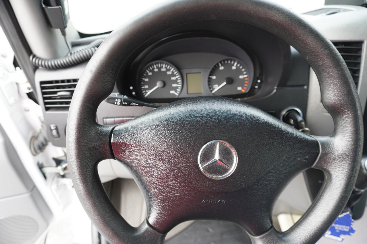 School bus Mercedes-Benz Sprinter 516 CDI / School bus / 23 seats / automatic: picture 16