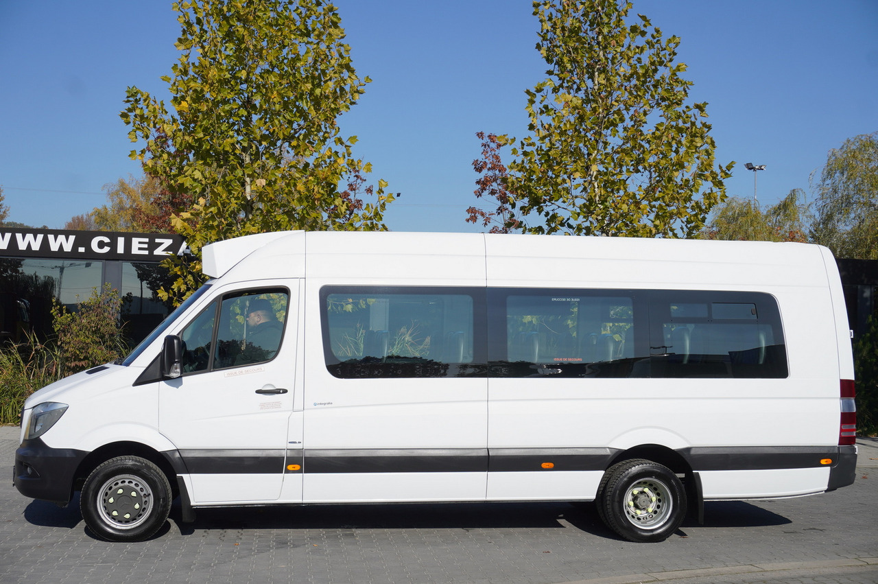 School bus Mercedes-Benz Sprinter 516 CDI / School bus / 23 seats / automatic: picture 7
