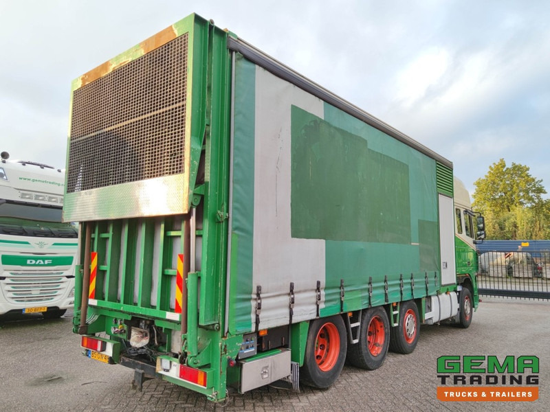 DAF FAK XF95.430 8x2 SuperSpaceCab Euro3 - CurtainSider 7.31m + Ramp 16T - MachineTransporter - 6 Persons (V558) - Autotransporter truck: picture 4 DAF FAK XF95.430 8x2 SuperSpaceCab Euro3 - CurtainSider 7.31m + Ramp 16T - MachineTransporter - 6 Persons (V558) - Autotransporter truck: picture 4