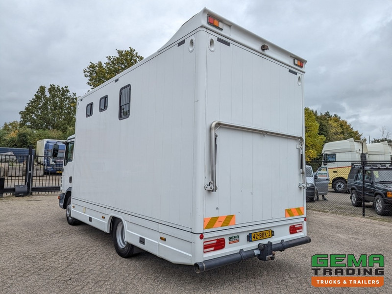 MAN TGL 12.250 4x2 Euro5 EEV RC HorseTruck - 2a3 Paards - 135.000km - MARGE (V821) - Horse truck: picture 4 MAN TGL 12.250 4x2 Euro5 EEV RC HorseTruck - 2a3 Paards - 135.000km - MARGE (V821) - Horse truck: picture 4