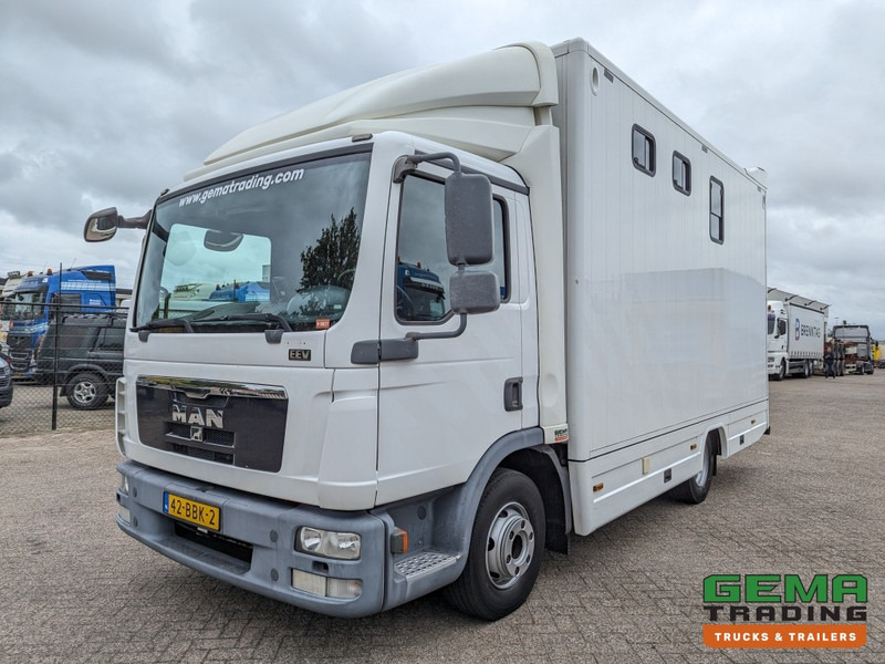 MAN TGL 12.250 4x2 Euro5 EEV RC HorseTruck - 2a3 Paards - 135.000km - MARGE (V821) - Horse truck: picture 2 MAN TGL 12.250 4x2 Euro5 EEV RC HorseTruck - 2a3 Paards - 135.000km - MARGE (V821) - Horse truck: picture 2