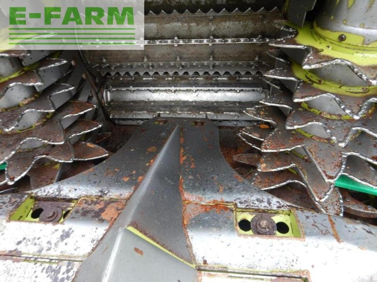 Maize harvester CLAAS orbis 750 auto contour: picture 12