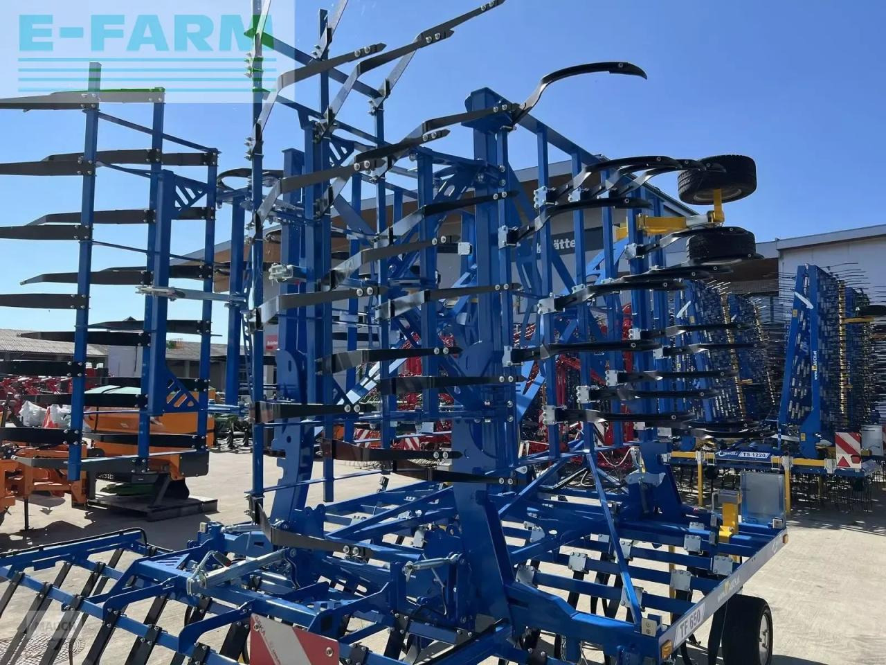 Soil tillage equipment Treffler treffler tf650 präzisions-federzahnegge: picture 12