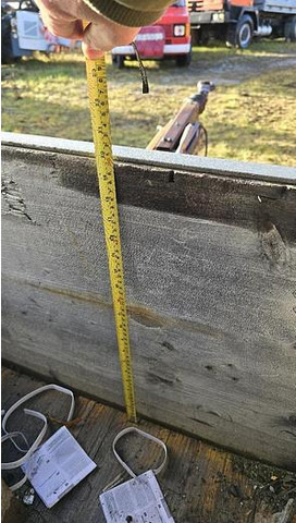 Low loader trailer Tandemachs Tieflader: picture 19