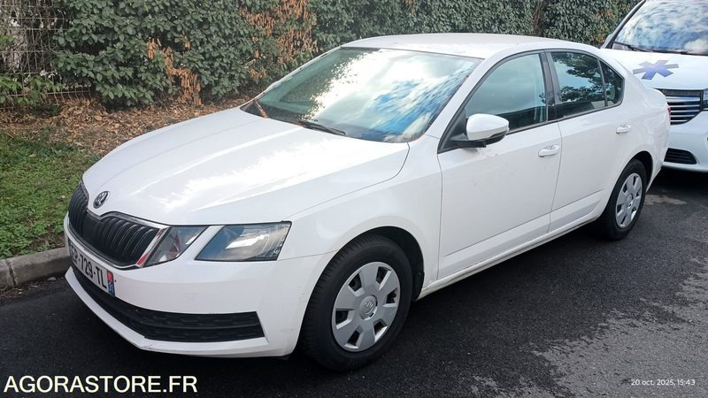 EP-729-TL - Non Roulant - SKODA OCTAVIA - VP - 349 390 Kms - Car: picture 1 EP-729-TL - Non Roulant - SKODA OCTAVIA - VP - 349 390 Kms - Car: picture 1