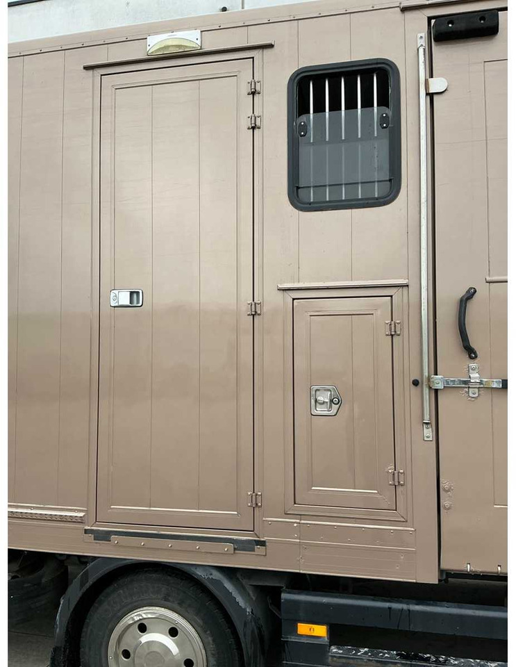 Truck 2000 MERCEDES-BENZ 815 HORSE TRUCK: picture 12