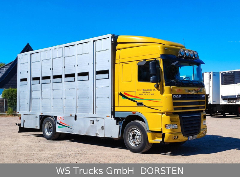 DAF XF410 Menke Doppelstock - Livestock truck: picture 4 DAF XF410 Menke Doppelstock - Livestock truck: picture 4