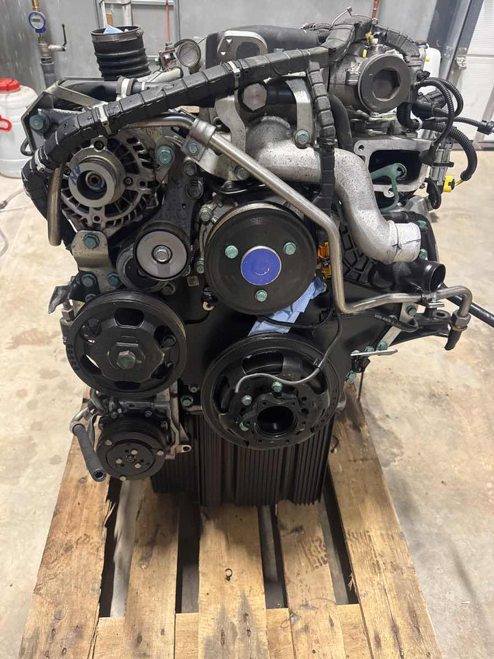 MAN MOTOR D0834 LFLAQ 220 HP - EURO 6 - Engine for Truck: picture 2 MAN MOTOR D0834 LFLAQ 220 HP - EURO 6 - Engine for Truck: picture 2