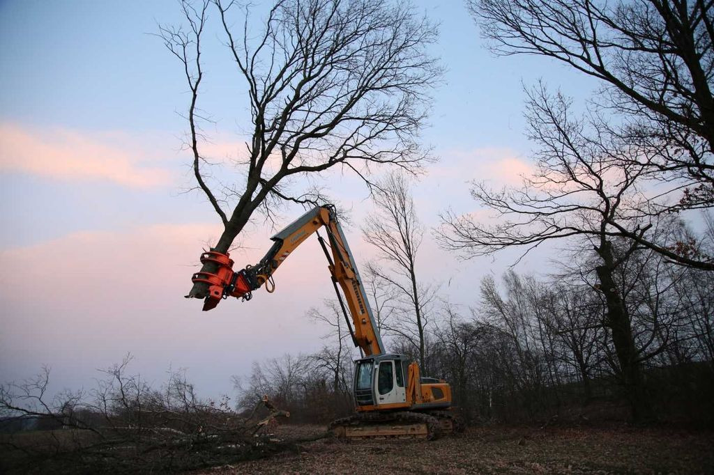 Westtech CS780 / Greifersäge / Fällkopf / sofort Westtech CS780 / Greifersäge / Fällkopf / sofort - Attachment for Forestry equipment: picture 5 Westtech CS780 / Greifersäge / Fällkopf / sofort Westtech CS780 / Greifersäge / Fällkopf / sofort - Attachment for Forestry equipment: picture 5