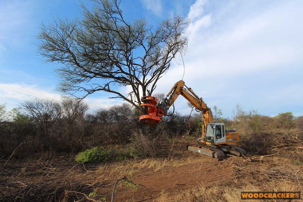 Westtech Woodcracker C550 Fällgreifer Baumschere Westtech Woodcracker C550 Fällgreifer Baumschere - Attachment for Forestry equipment: picture 1 Westtech Woodcracker C550 Fällgreifer Baumschere Westtech Woodcracker C550 Fällgreifer Baumschere - Attachment for Forestry equipment: picture 1