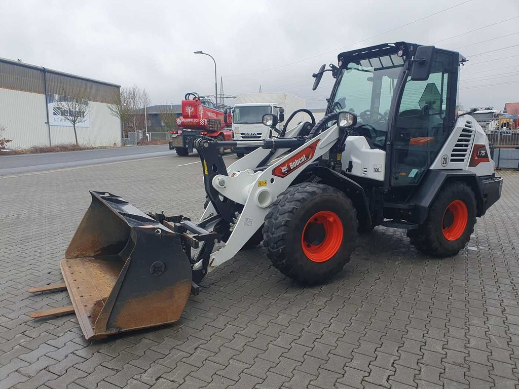 Wheel loader Bobcat L75 / Palettengabel & Schaufel / nur 163h!: picture 7