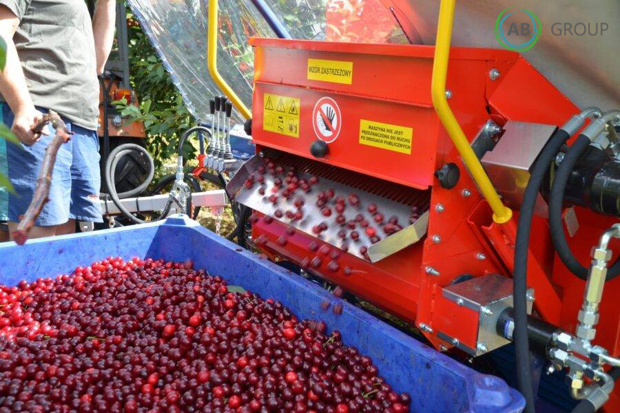 Jagoda machine for harvesting cherries, plums Gacek - Other machinery: picture 4 Jagoda machine for harvesting cherries, plums Gacek - Other machinery: picture 4
