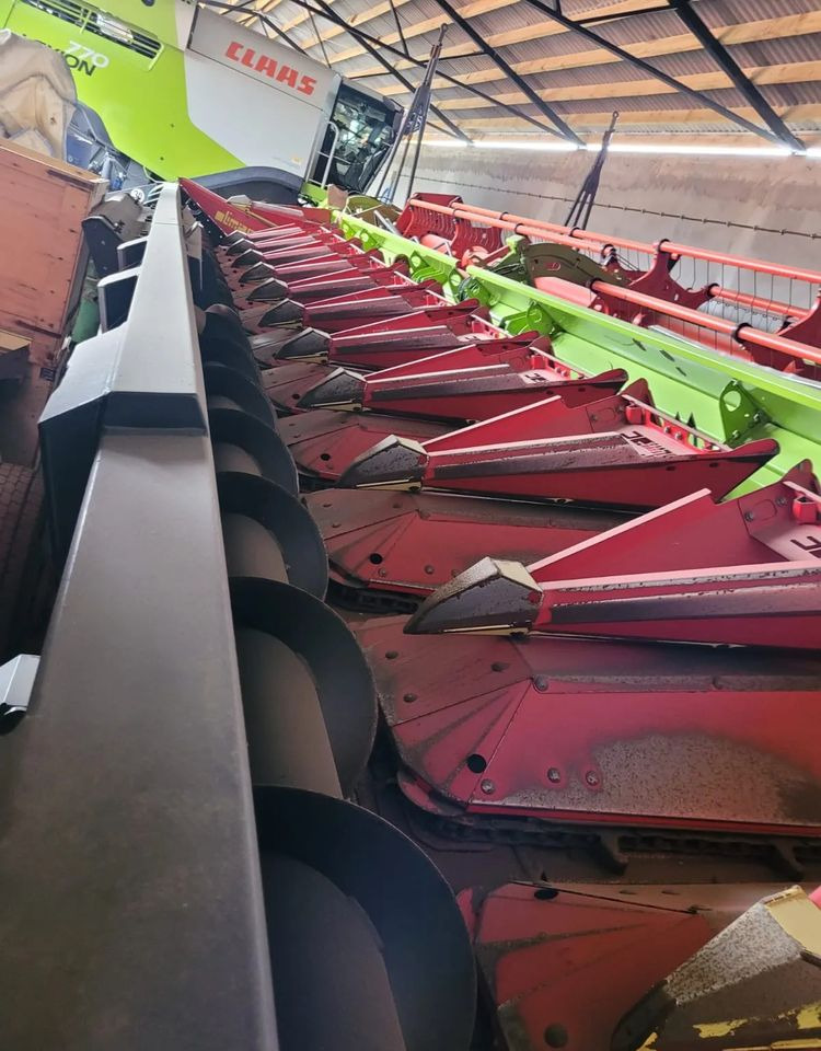 Olimac Drago II - Maize harvester: picture 2 Olimac Drago II - Maize harvester: picture 2