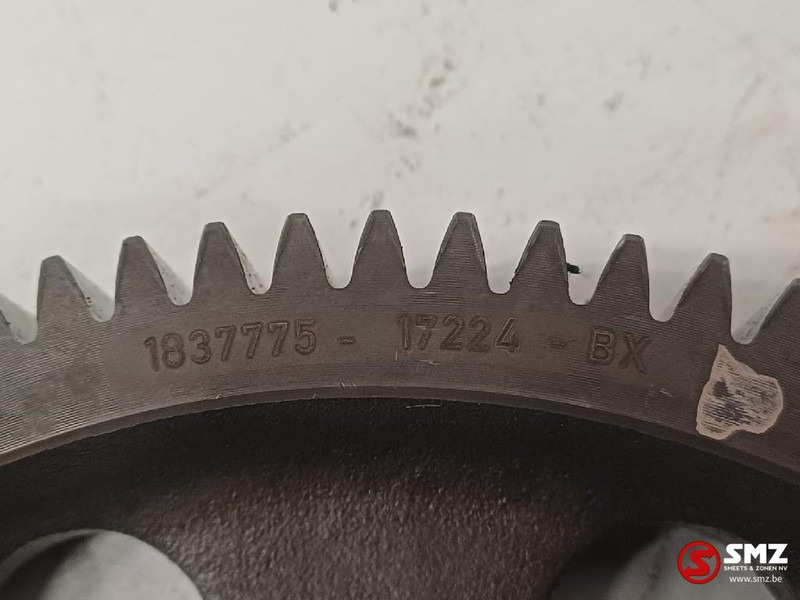 DAF Occ nokkenastandwiel MX13 DAF - Camshaft for Truck: picture 3 DAF Occ nokkenastandwiel MX13 DAF - Camshaft for Truck: picture 3