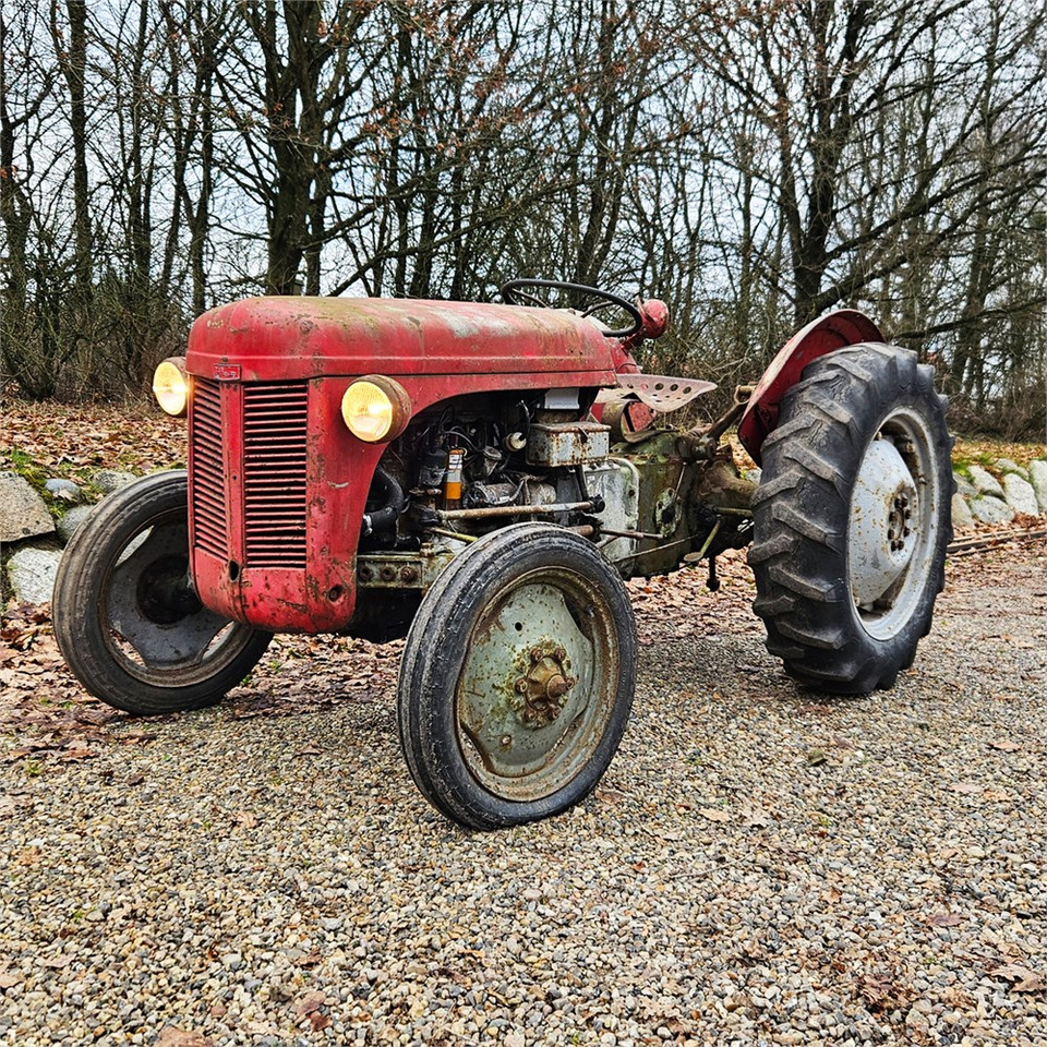 Ferguson 35 - Farm tractor: picture 2 Ferguson 35 - Farm tractor: picture 2