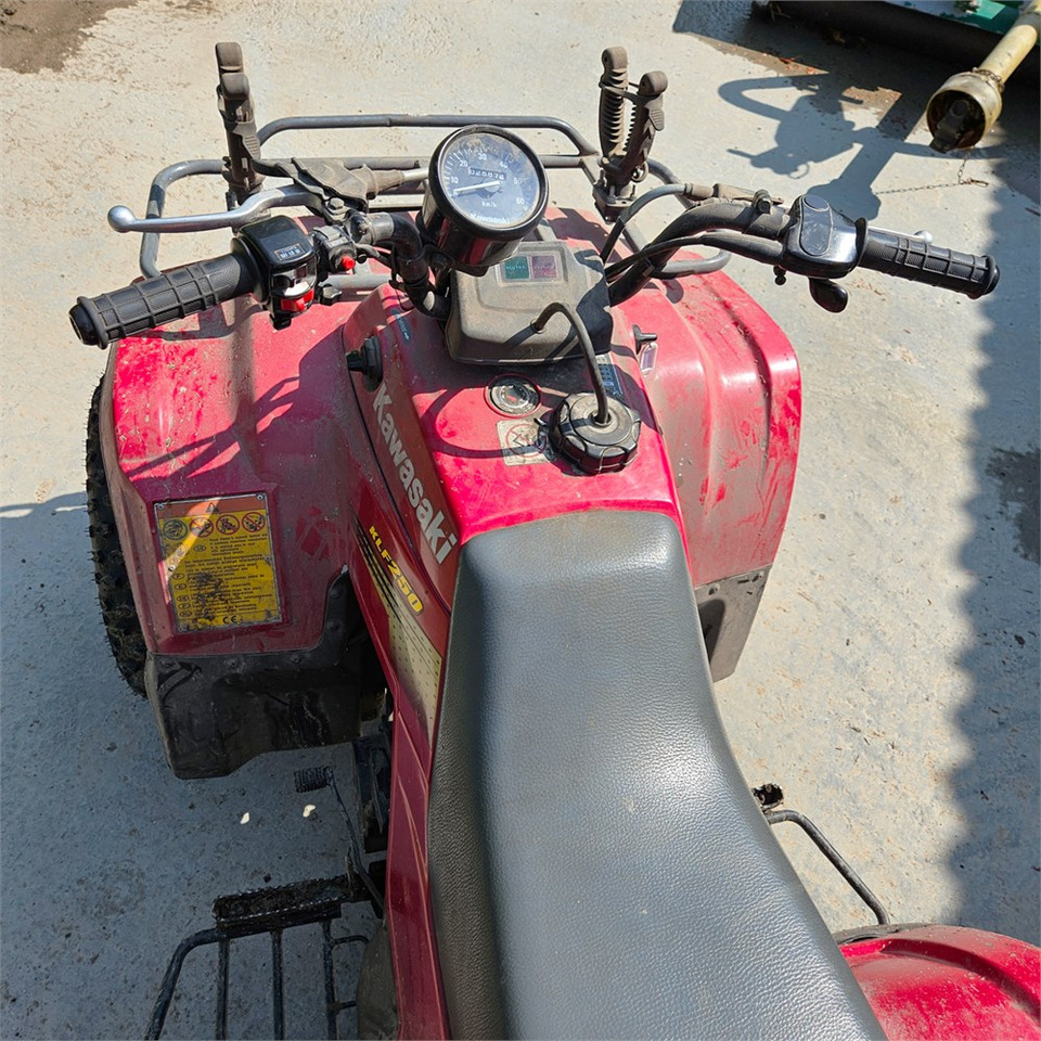 ATV/ Quad Kawasaki KLF 250: picture 8