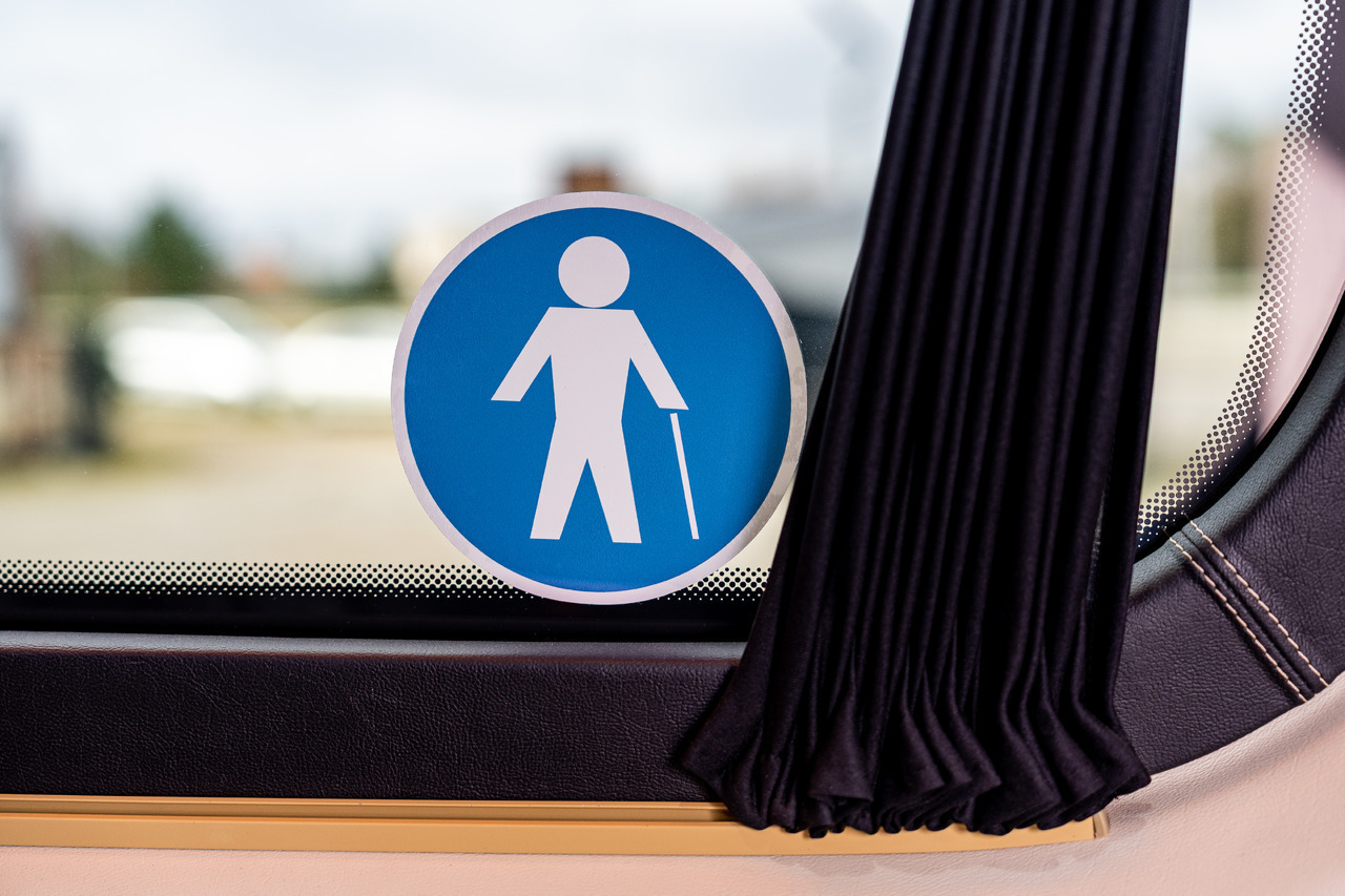 New Minibus, Passenger van MERCEDES-BENZ SPRINTER 519 CDI (MB BUSPERFECT): picture 38