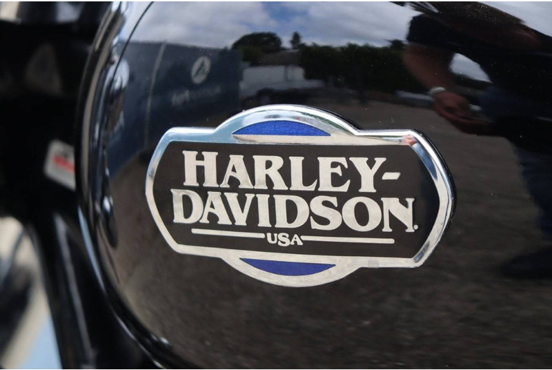 Motorcycle Harley-Davidson Custom-Modified: picture 20