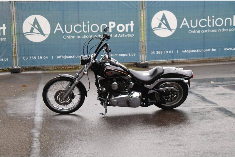 Harley-Davidson Softail Custom - Motorcycle: picture 1 Harley-Davidson Softail Custom - Motorcycle: picture 1