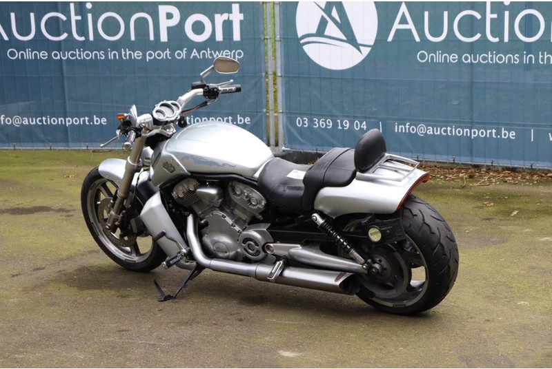 Harley-Davidson V-Rod Muscle - Motorcycle: picture 3 Harley-Davidson V-Rod Muscle - Motorcycle: picture 3