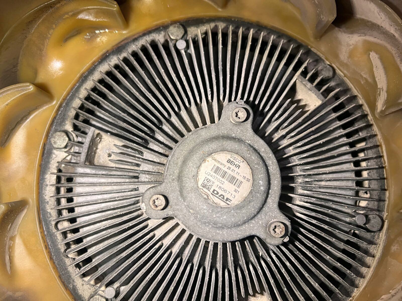 DAF - Fan: picture 3 DAF - Fan: picture 3